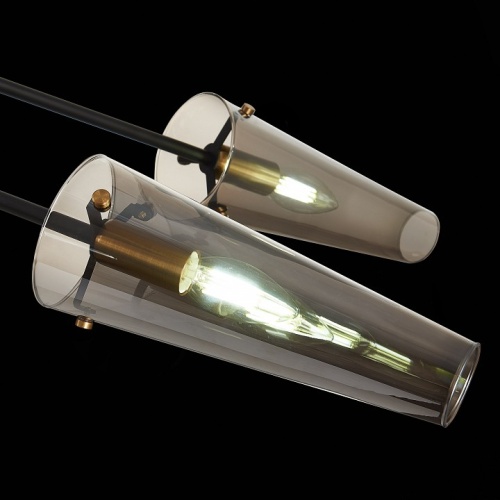 Люстра на штанге ST-Luce Morave SL1209.302.06 в Нижнем Новгороде фото 7