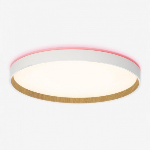 Накладной светильник Citilux ETALON CL750400R в Нижнем Новгороде фото 11