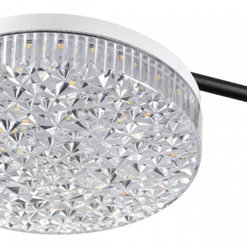 Потолочная люстра Lumion Didana 8236/4CL в Нижнем Новгороде фото 2