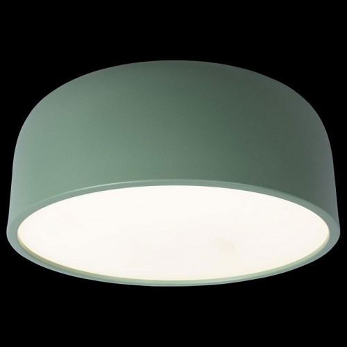 Накладной светильник Loft it Axel 10201/350 Green в Нижнем Новгороде фото 3