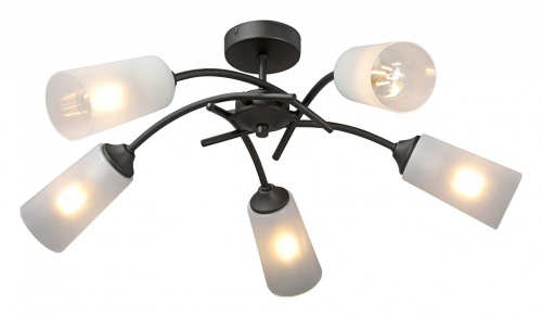 Люстра на штанге Vitaluce V2850 V2850-1/5PL в Нижнем Новгороде фото 4