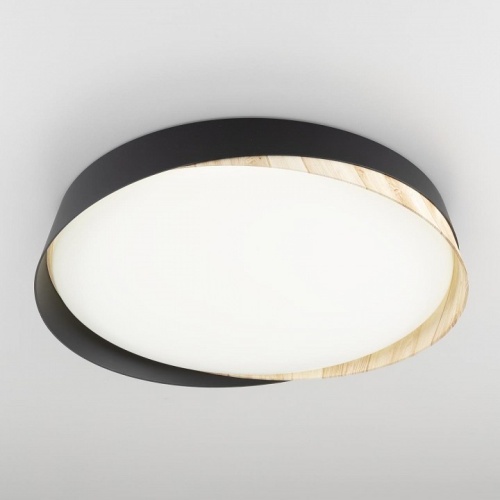 Накладной светильник Citilux BONNY CL754351G в Нижнем Новгороде фото 4