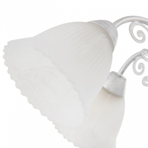 Подвесная люстра Arte Milano Amalfi-8544 338544/5 WT+SL в Нижнем Новгороде фото 2