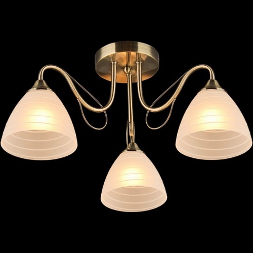 Потолочная люстра 03078-0.3-03 в Нижнем Новгороде фото 2