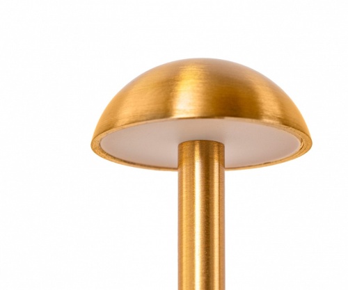 Настольная лампа декоративная Kink Light Дамари 07208-T,20 в Нижнем Новгороде фото 2