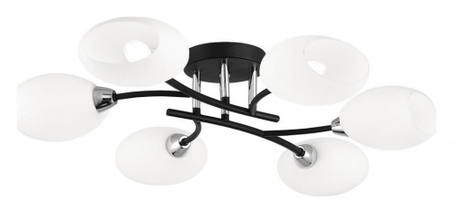 Потолочная люстра Citilux Флорида CL148165 в Нижнем Новгороде