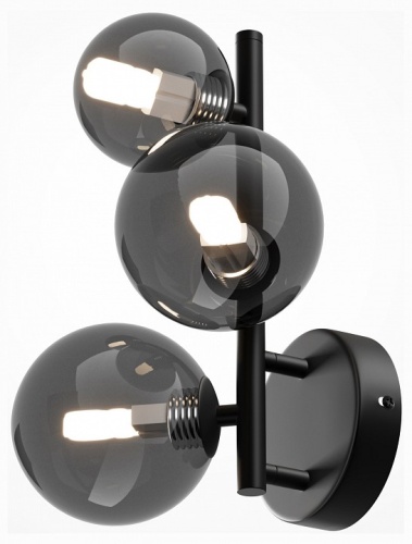 Бра Maytoni Dallas MOD545WL-03B в Нижнем Новгороде фото 5