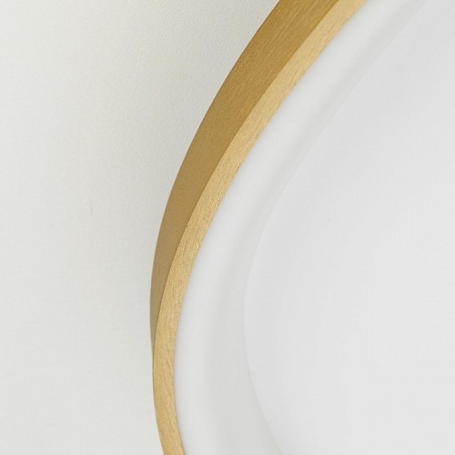 Накладной светильник Citilux GENKA SMART CL756A162 в Нижнем Новгороде фото 6