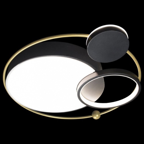 Накладной светильник Loft it Mike 10064 в Нижнем Новгороде фото 3