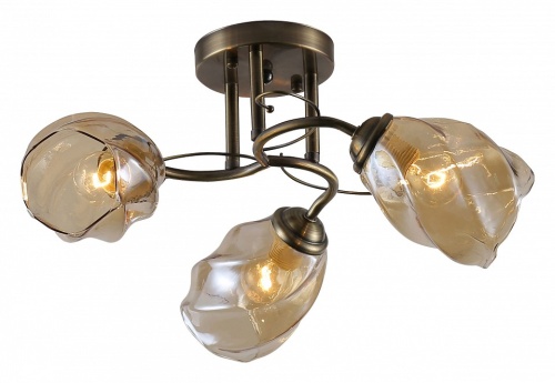 Люстра на штанге Rivoli Bruna Б0054736 в Нижнем Новгороде фото 3