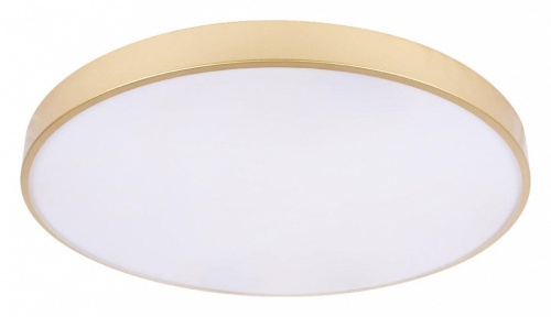 Накладной светильник Loft it Flims 10228/B в Нижнем Новгороде фото 2