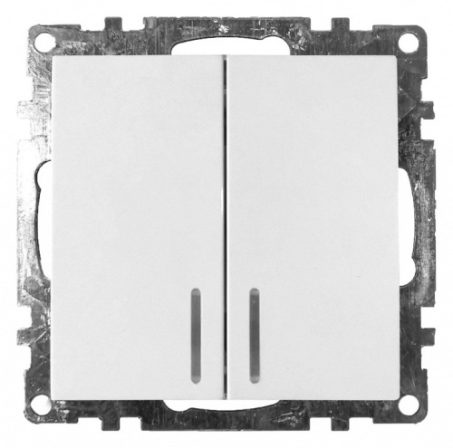 Выключатель двухклавишный с подсветкой без рамки Stekker Катрин 39301 в Нижнем Новгороде