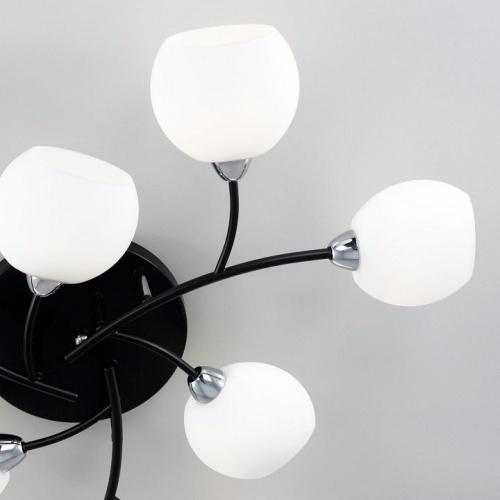 Потолочная люстра Citilux Флорида CL148195 в Нижнем Новгороде фото 14