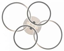 Накладной светильник Freya  FR10018CL-L40W в Нижнем Новгороде