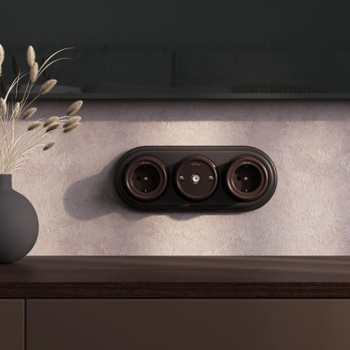 ТВ-розетка Werkel  W5683014 в Нижнем Новгороде фото 3