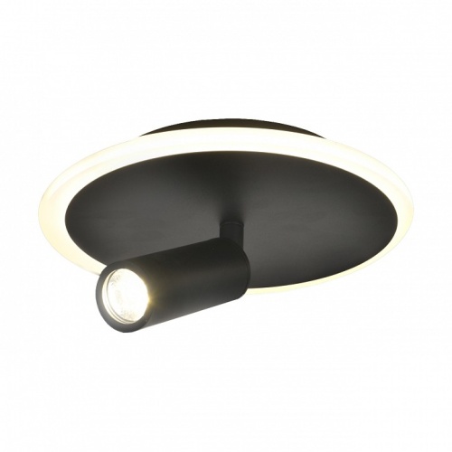 Светильник на штанге Escada 20046LED 20046SMA/01LED BK в Нижнем Новгороде фото 6