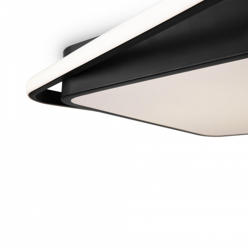 Накладной светильник Freya  FR10030CL-L88B в Нижнем Новгороде фото 2