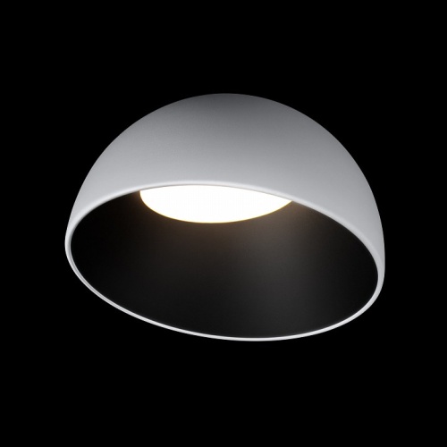 Накладной светильник Loft it Egg 10197/350 WB в Нижнем Новгороде фото 2