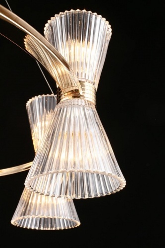 Подвесная люстра Aployt Elinor APL.801.03.16 в Нижнем Новгороде фото 15