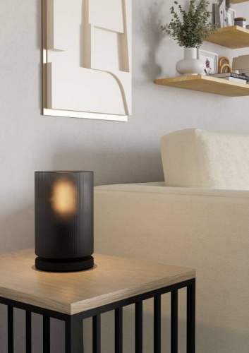 Настольная лампа декоративная Eglo COLOMERA 901164 в Нижнем Новгороде фото 2