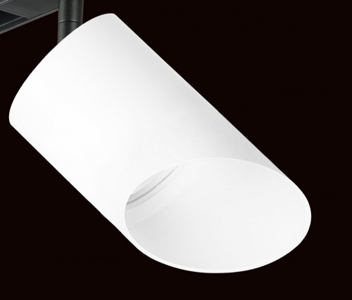 Светильник на штанге Lightstar Rullo PRO348686 в Нижнем Новгороде фото 2