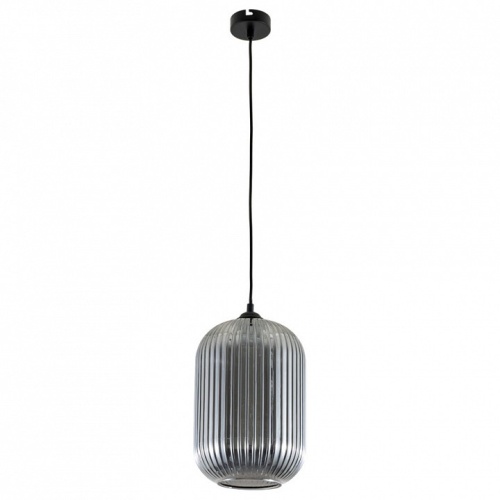 Подвесной светильник Arte Lamp Arwen A1903SP-1BK в Нижнем Новгороде фото 2