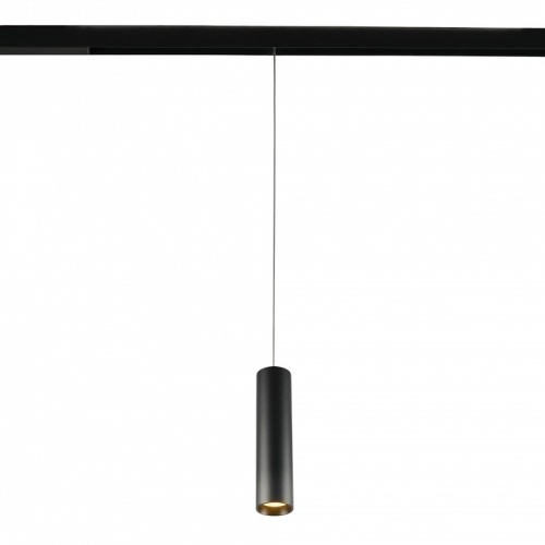 Подвесной светильник MyFar Technical MT0221-20W3K-S-B в Нижнем Новгороде фото 2