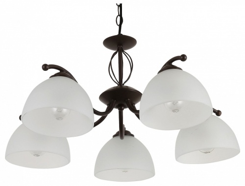 Подвесная люстра Rivoli Jackeline Б0054758 в Нижнем Новгороде