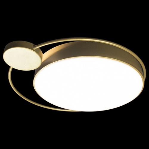 Накладной светильник Loft it Mike 10063 в Нижнем Новгороде фото 3