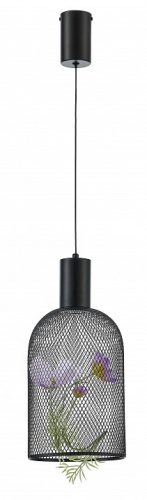 Подвесной светильник Moderli Ophelia V11874-PL в Нижнем Новгороде фото 3