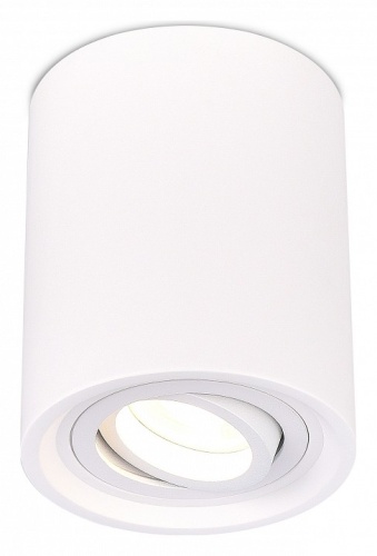 Накладной светильник ST-Luce ST155 Gipsum ST156.502.01 в Соколе фото 3