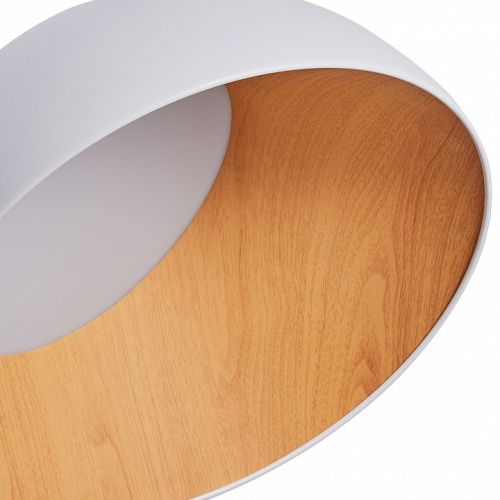 Накладной светильник Zortes Baum ZRS.01201.19 в Нижнем Новгороде фото 2