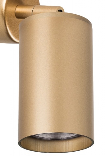 Спот Lightstar Rullo RB4401 в Нижнем Новгороде фото 2