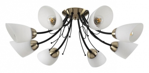 Потолочная люстра Lumion Eliana 4592/8C в Нижнем Новгороде