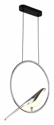 Подвесной светильник Aployt Astor APL.822.16.10 в Нижнем Новгороде фото 3