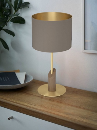 Настольная лампа декоративная Eglo Santandria 390337 в Нижнем Новгороде фото 2