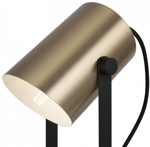 Настольная лампа декоративная Freya Elori FR4004TL-01BBS в Нижнем Новгороде фото 4