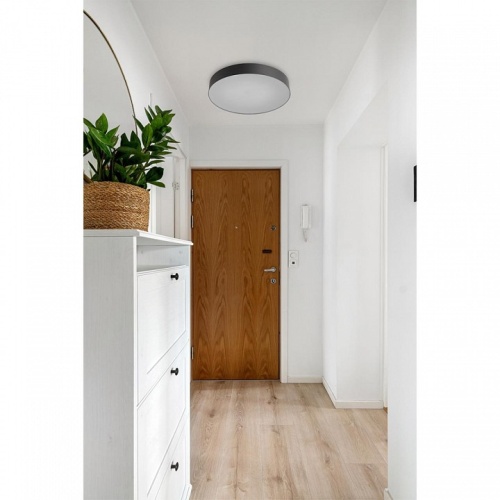 Накладной светильник Sonex BASICA 7780/ELN в Нижнем Новгороде фото 2