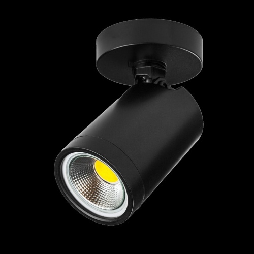 Светильник на штанге Lightstar Rullo 213407 в Нижнем Новгороде фото 6