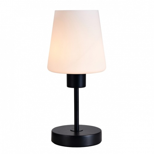 Настольная лампа декоративная Escada  ES0002707 в Нижнем Новгороде фото 4