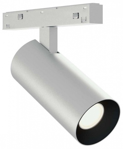 Светильник на штанге ST-Luce SKYLINE 48+ ST2365.546.08_SH_R в Нижнем Новгороде