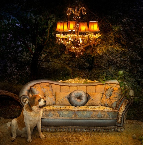 Подвесная люстра Lightstar Nativo 715067 в Нижнем Новгороде фото 3