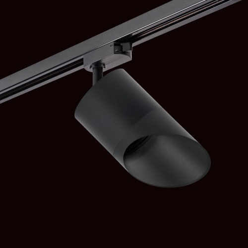 Светильник на штанге Lightstar Rullo R1T348787 в Нижнем Новгороде фото 4