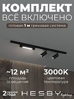 Комплект трековый Hesby Lighting Skylite №5 HSBL_kompl_S005_NI1B3K в Нижнем Новгороде