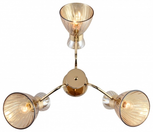 Люстра на штанге Rivoli Victoria 9183-303 в Нижнем Новгороде фото 4