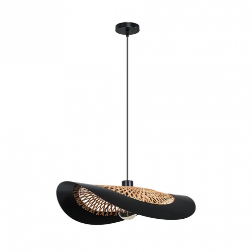 Подвесной светильник Arte Lamp Woodstock A7059SP-1BK в Нижнем Новгороде фото 2