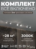 Комплект трековый Hesby Lighting Skylite №13 HSBL_kompl_S013_VI2W3K в Нижнем Новгороде