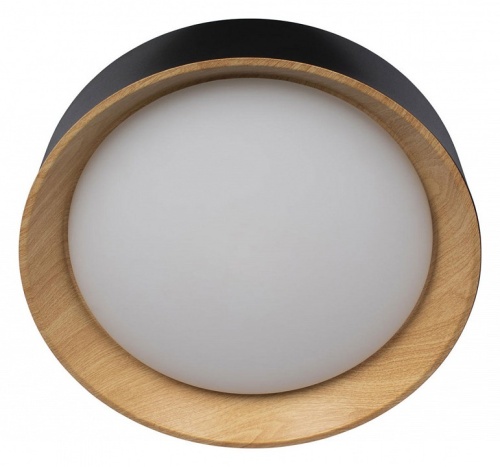 Накладной светильник Loft it Coin 10202 Black в Нижнем Новгороде фото 5