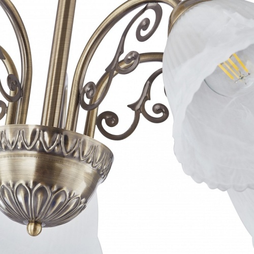 Подвесная люстра Arte Milano Amalfi-8544 338544/5 AB в Нижнем Новгороде фото 2