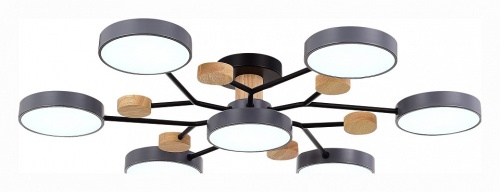 Потолочная люстра EVOLUCE Faema SLE6006-702-07 в Нижнем Новгороде фото 2